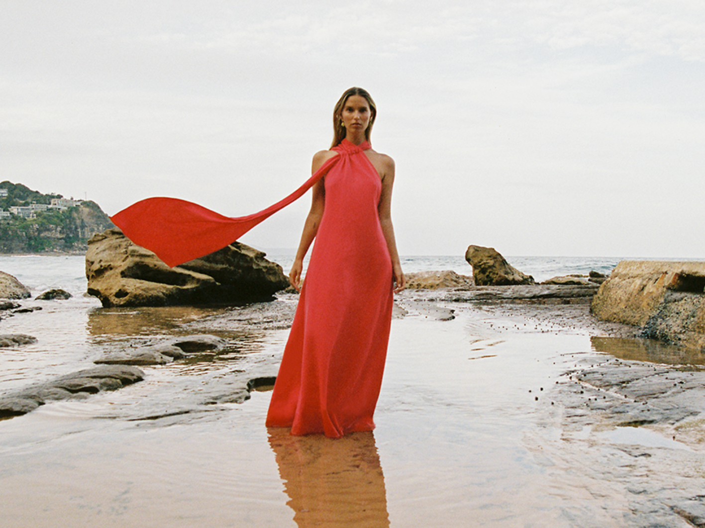 Reiss red lady